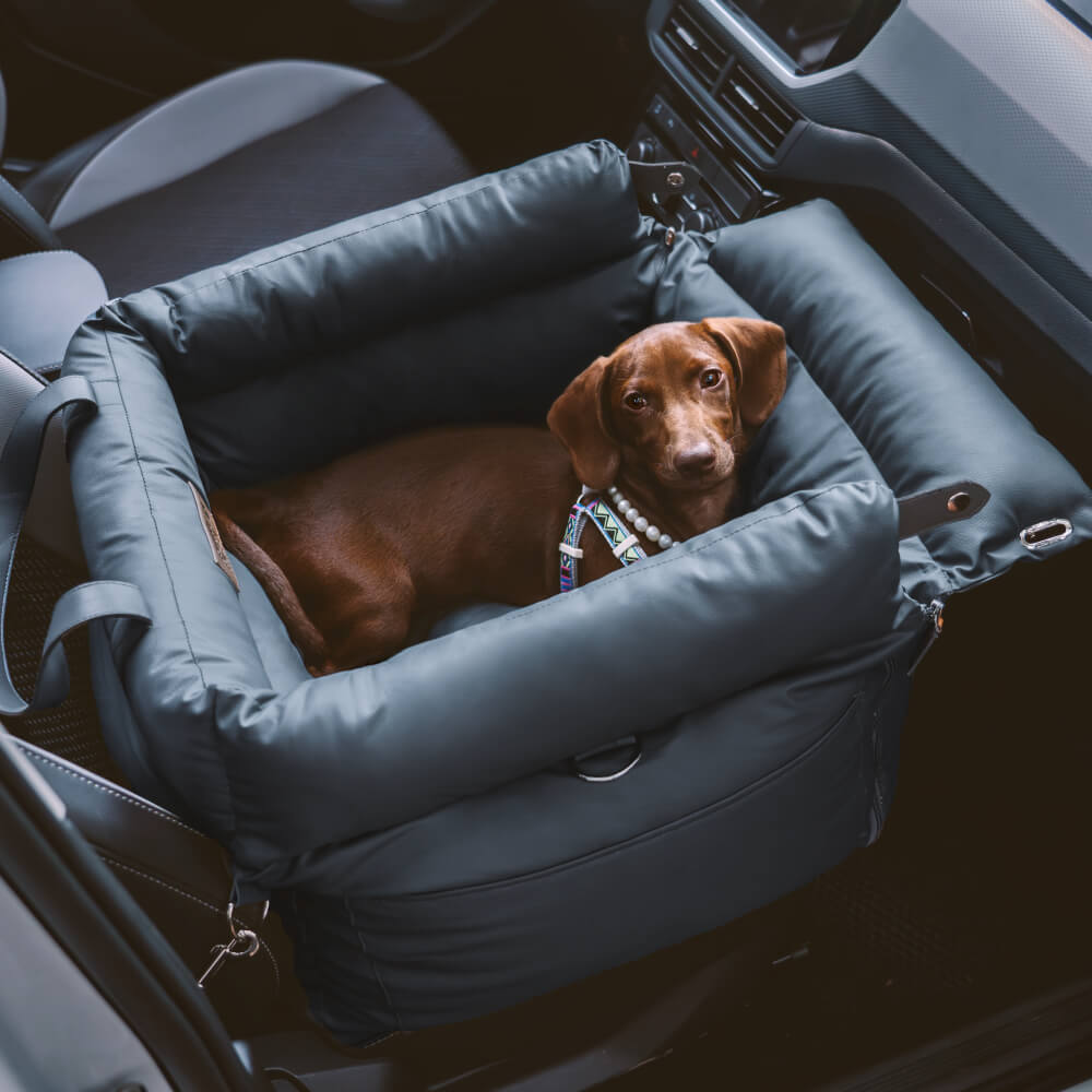Luxe Hundeautostol | Komfortabel og Sikker Rejseseng