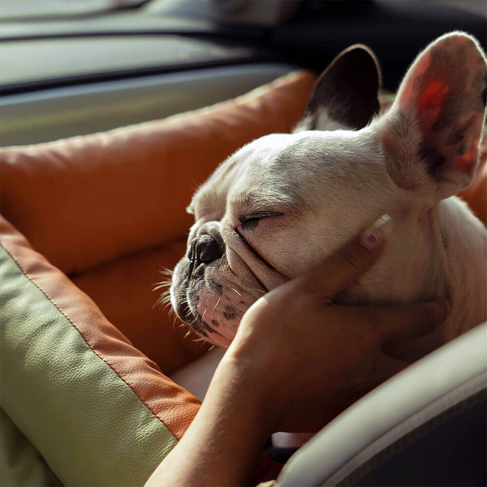 Luxe Hundeautostol | Komfortabel og Sikker Rejseseng