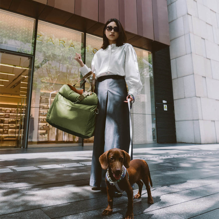 Luxe Hundeautostol | Komfortabel og Sikker Rejseseng