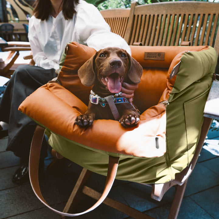 Luxe Hundeautostol | Komfortabel og Sikker Rejseseng
